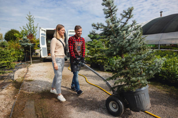 Best Tree and Shrub Care  in Lauderdale By The Sea, FL